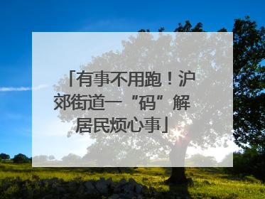 有事不用跑！沪郊街道一“码”解居民烦心事