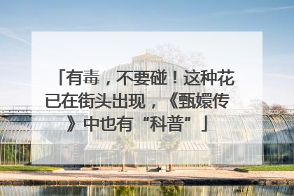 有毒，不要碰！这种花已在街头出现，《甄嬛传》中也有“科普”