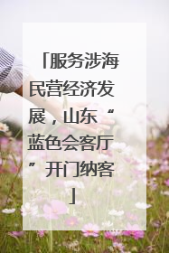 服务涉海民营经济发展，山东“蓝色会客厅”开门纳客