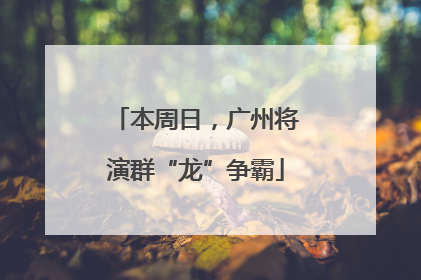 本周日，广州将演群“龙”争霸