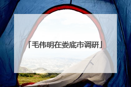 毛伟明在娄底市调研
