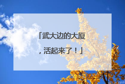 武大边的大厦，活起来了！