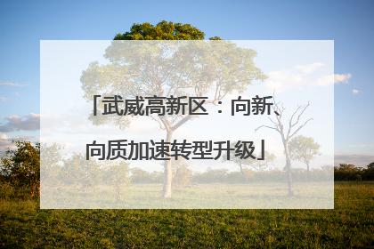 武威高新区：向新、向质加速转型升级