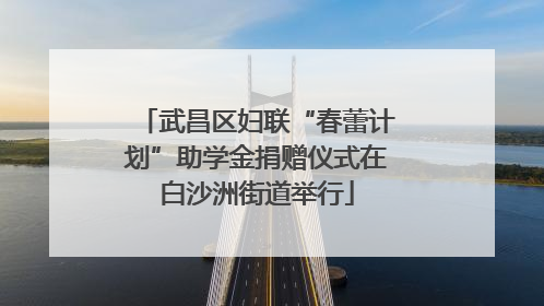 武昌区妇联“春蕾计划”助学金捐赠仪式在白沙洲街道举行