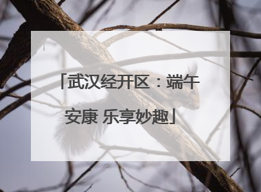 武汉经开区：端午安康 乐享妙趣