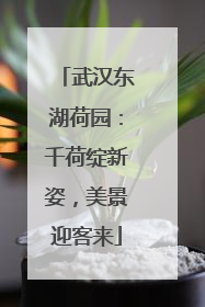 武汉东湖荷园：千荷绽新姿，美景迎客来