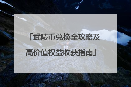 武陵币兑换全攻略及高价值权益收获指南