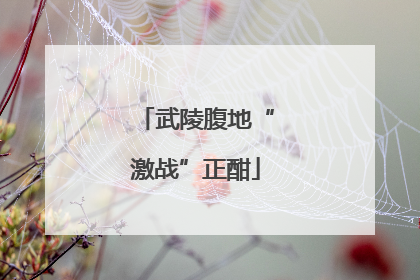 武陵腹地“激战”正酣