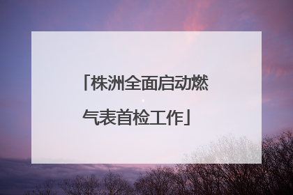 株洲全面启动燃气表首检工作