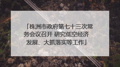 株洲市政府第七十三次常务会议召开 研究低空经济发展、大抓落实等工作