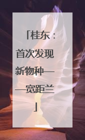 桂东：首次发现新物种——宽距兰