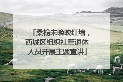 桑榆未晚映红墙，西城区组织社管退休人员开展主题宣讲