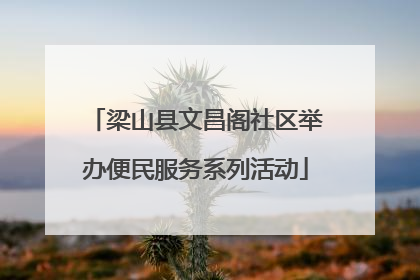 梁山县文昌阁社区举办便民服务系列活动