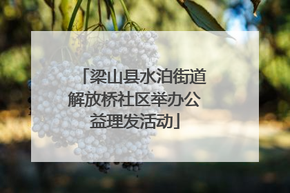 梁山县水泊街道解放桥社区举办公益理发活动