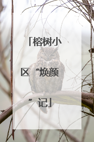 榕树小区“焕颜”记