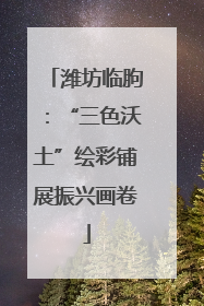 潍坊临朐：“三色沃土”绘彩铺展振兴画卷