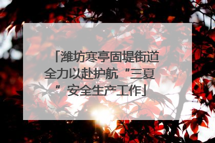 潍坊寒亭固堤街道全力以赴护航“三夏”安全生产工作