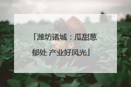潍坊诸城：瓜甜葱郁处 产业好风光