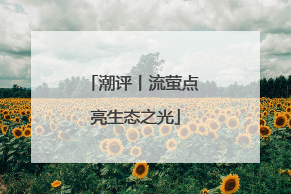 潮评丨流萤点亮生态之光