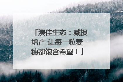 澳佳生态：减损增产 让每一粒麦穗都饱含希望！