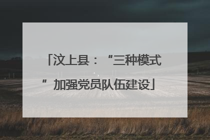 汶上县：“三种模式”加强党员队伍建设