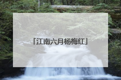 江南六月杨梅红