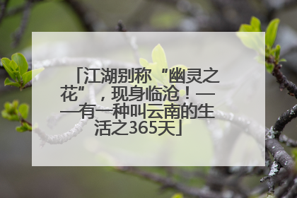 江湖别称“幽灵之花”，现身临沧！——有一种叫云南的生活之365天