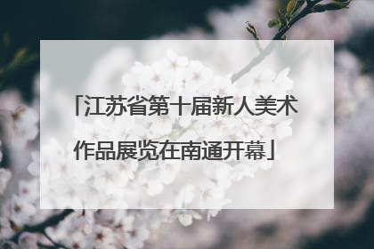 江苏省第十届新人美术作品展览在南通开幕