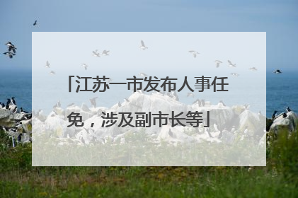 江苏一市发布人事任免，涉及副市长等