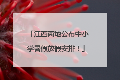江西两地公布中小学暑假放假安排！