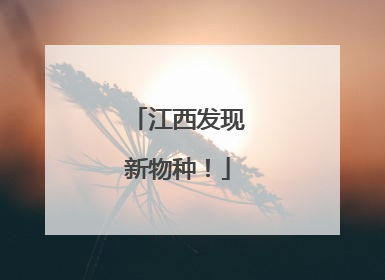 江西发现新物种！