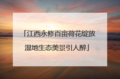 江西永修百亩荷花绽放 湿地生态美景引人醉