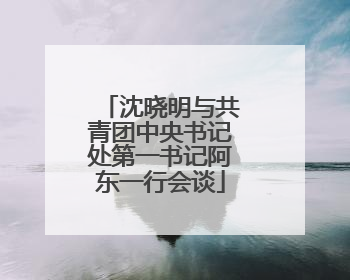 沈晓明与共青团中央书记处第一书记阿东一行会谈