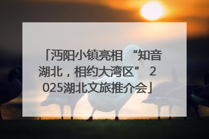 沔阳小镇亮相 “知音湖北，相约大湾区” 2025湖北文旅推介会