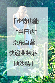 沙特也能“当日达” 京东自营快递业务落地沙特