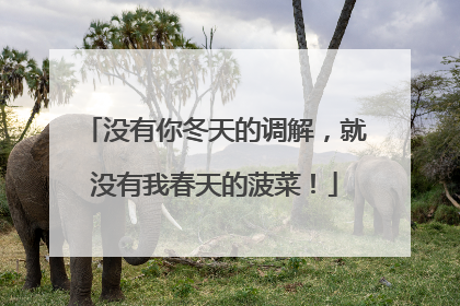 没有你冬天的调解，就没有我春天的菠菜！