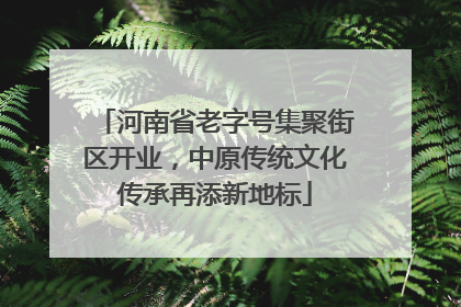 河南省老字号集聚街区开业，中原传统文化传承再添新地标