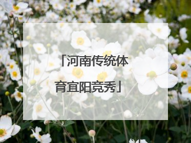 河南传统体育宜阳竞秀