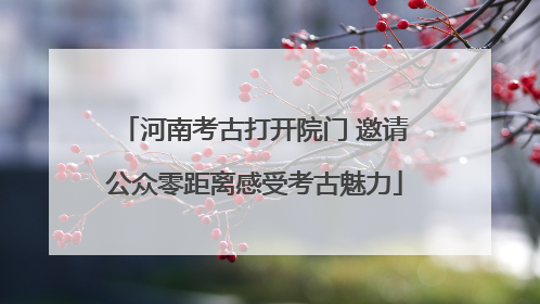 河南考古打开院门 邀请公众零距离感受考古魅力