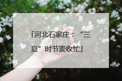 河北石家庄：“三夏”时节麦收忙