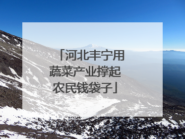 河北丰宁用蔬菜产业撑起农民钱袋子