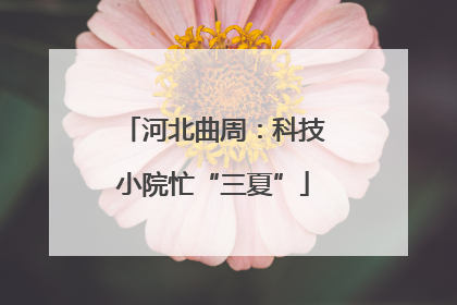 河北曲周：科技小院忙“三夏”