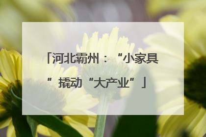 河北霸州：“小家具”撬动“大产业”
