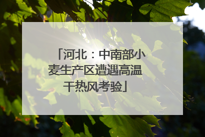 河北：中南部小麦生产区遭遇高温干热风考验