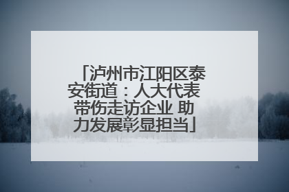 泸州市江阳区泰安街道：人大代表带伤走访企业 助力发展彰显担当