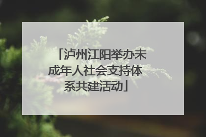 泸州江阳举办未成年人社会支持体系共建活动
