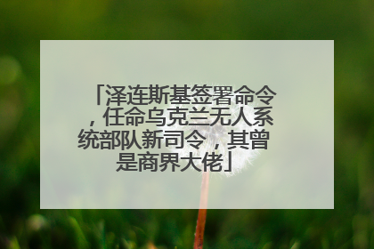 泽连斯基签署命令，任命乌克兰无人系统部队新司令，其曾是商界大佬