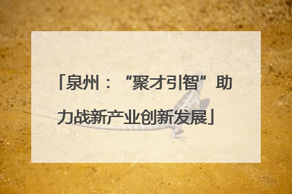 泉州：“聚才引智”助力战新产业创新发展