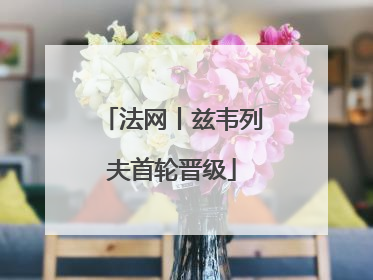法网丨兹韦列夫首轮晋级