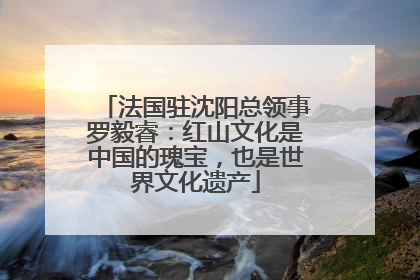 法国驻沈阳总领事罗毅睿：红山文化是中国的瑰宝，也是世界文化遗产